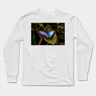 Blue Morpho Butterfly Long Sleeve T-Shirt